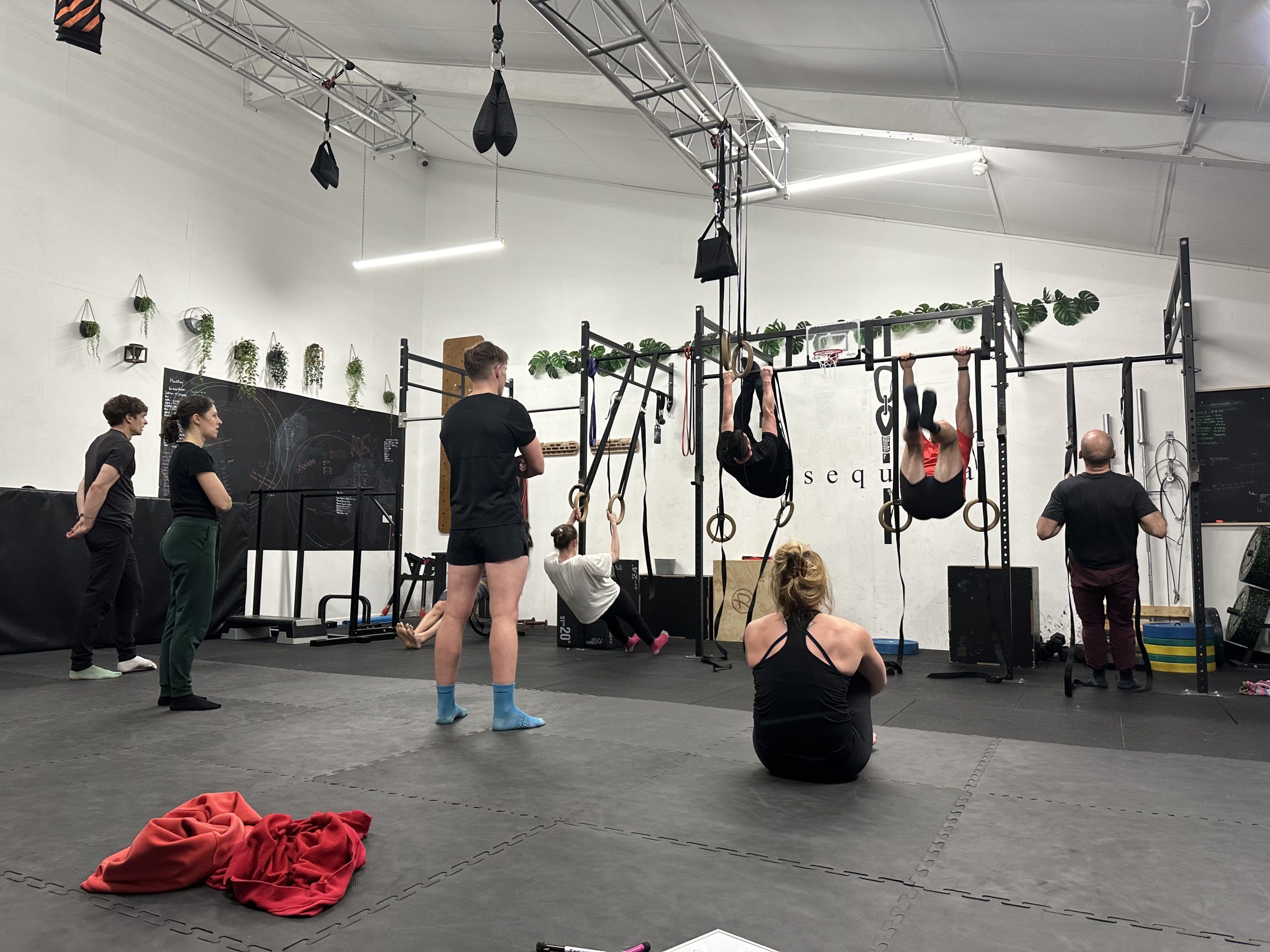 Classes & Group Training – Sequoia Movement