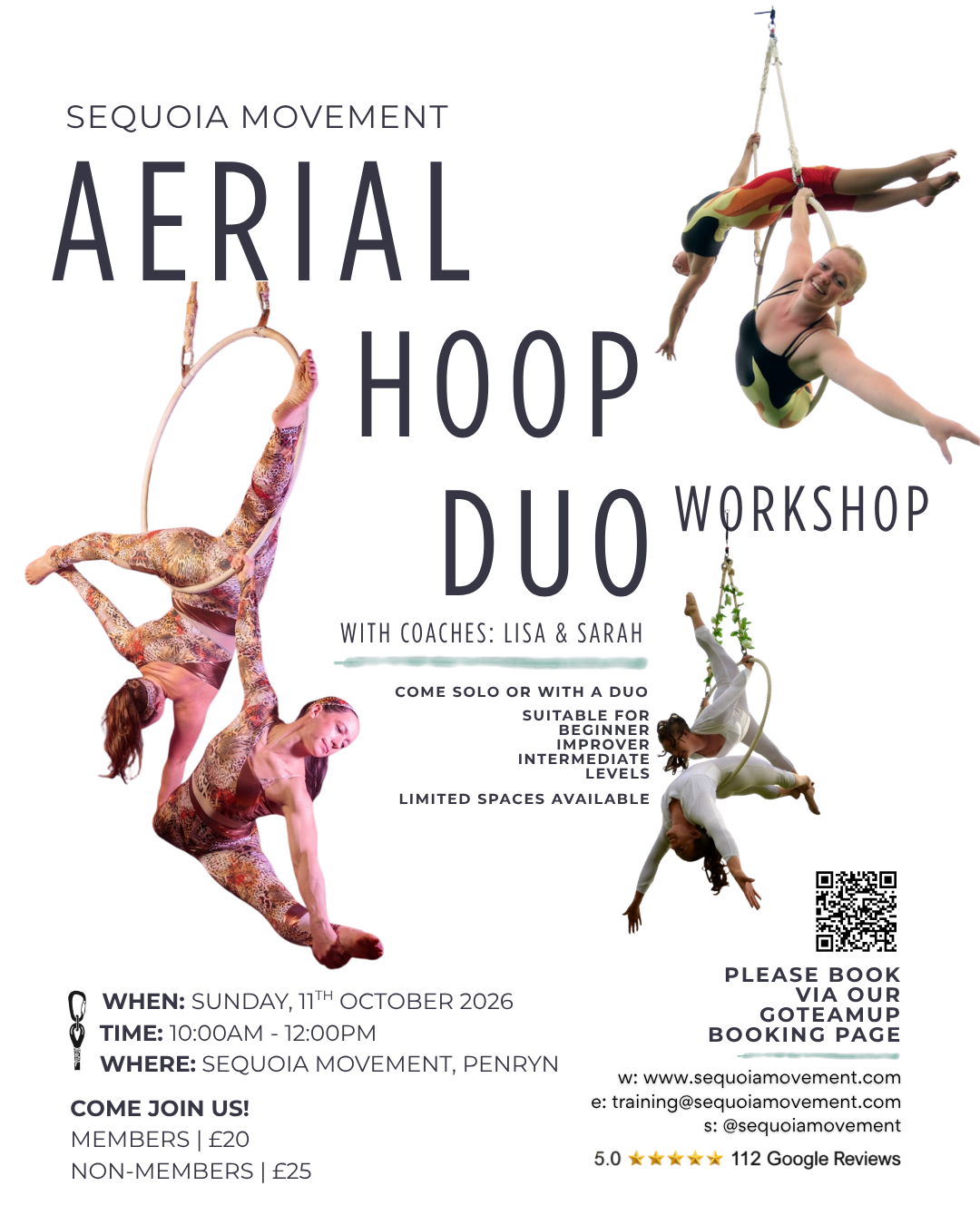 Aerial Duo Workshop (1)